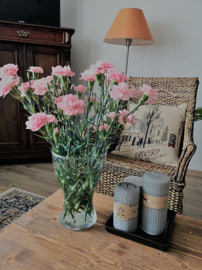אולז'טין Villa Garden Paryski מראה חיצוני תמונה