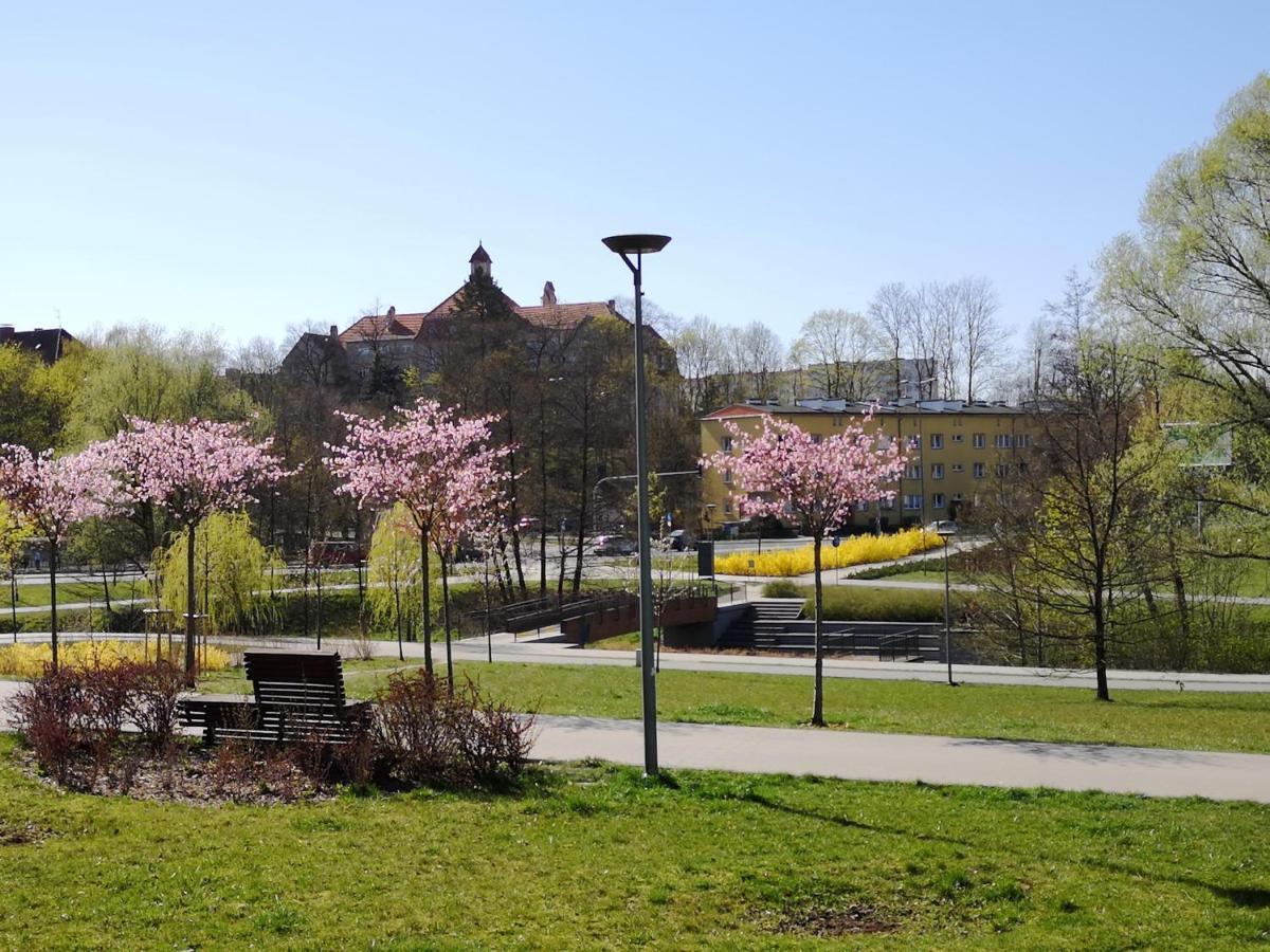אולז'טין Villa Garden Paryski מראה חיצוני תמונה